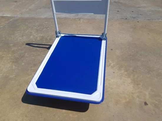LIFTEX Platform 300 transpaleta manual